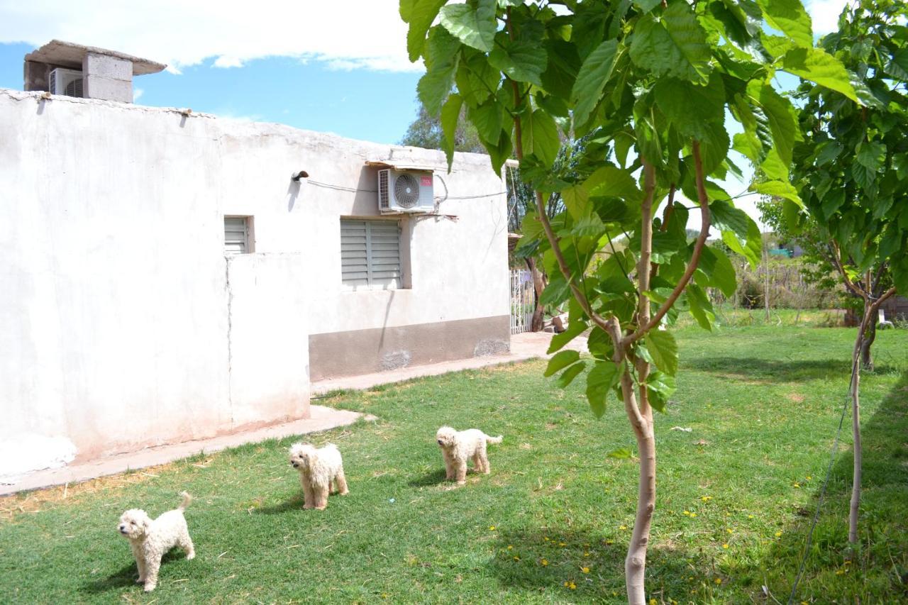 Hospedaje Las Termas Fiambalá Exterior foto